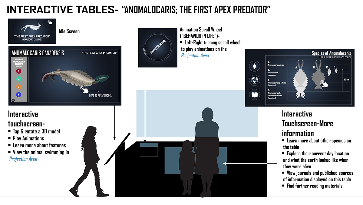 Interactive table display concept